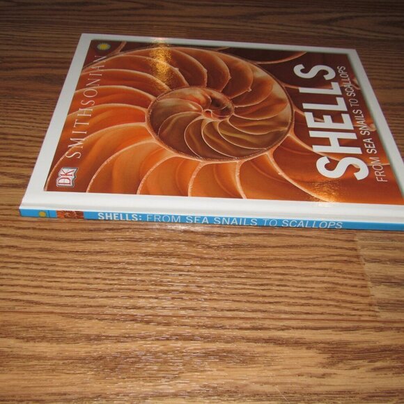 “SHELLS From Sea Shells to Scallops” DK Smithsonian Hardcover Kids Picture Book - Picture 3 of 3